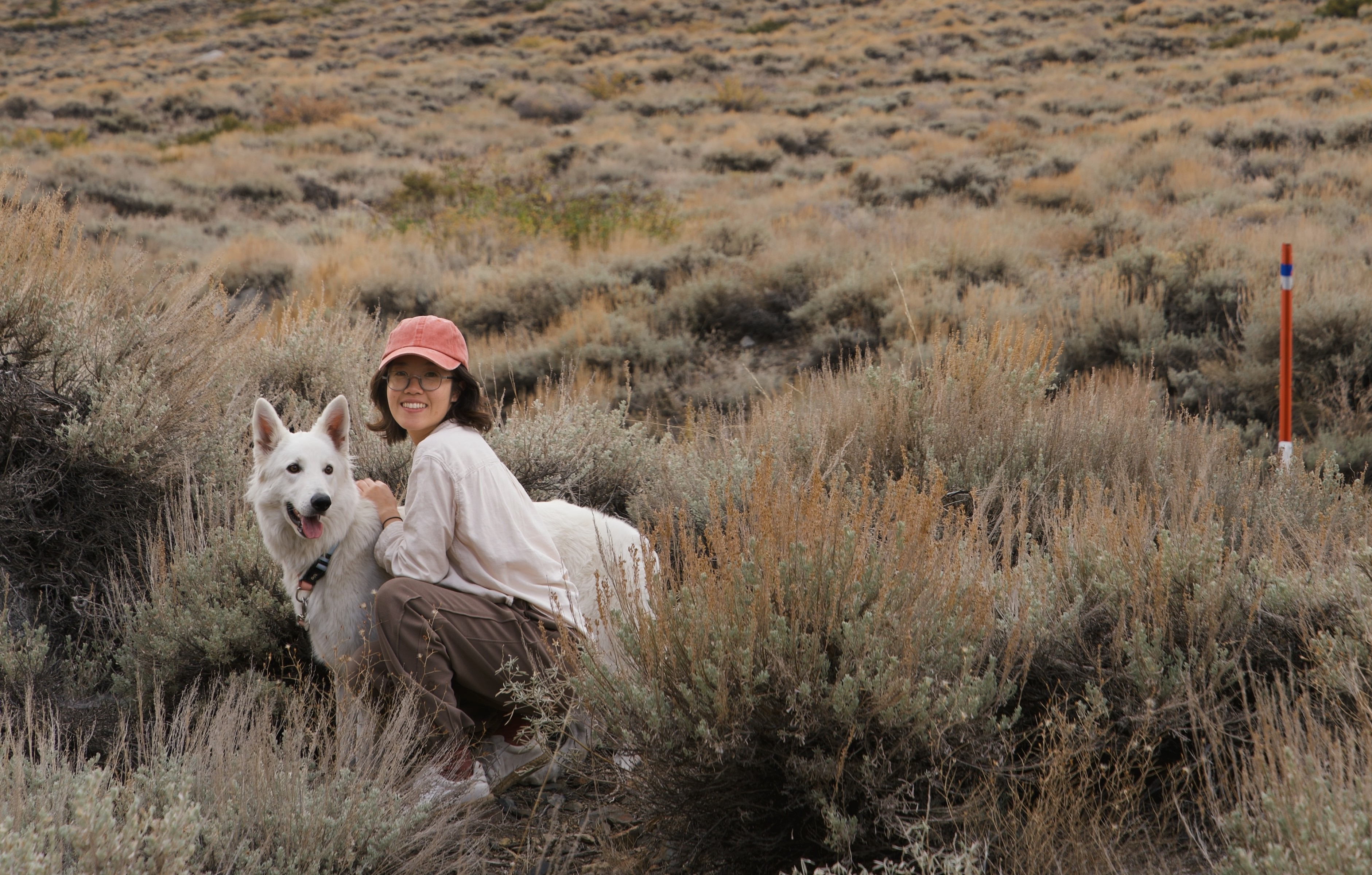 Large letters in brand typography